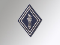 Insigne de bras CRS